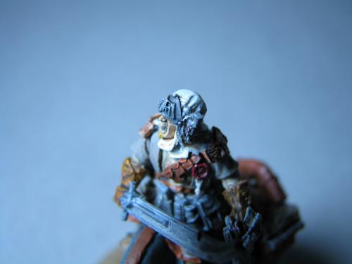 tallarn rider